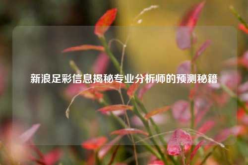 新浪足彩信息揭秘专业分析师的预测秘籍