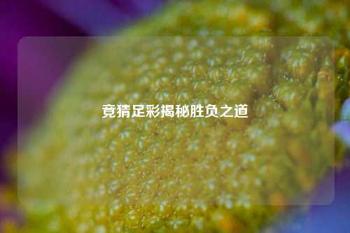 竟猜足彩揭秘胜负之道