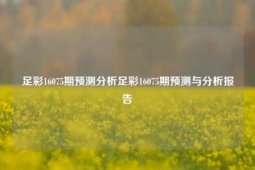 足彩16075期预测分析足彩16075期预测与分析报告