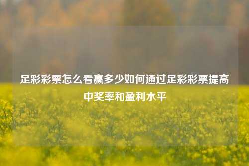 足彩彩票怎么看赢多少如何通过足彩彩票提高中奖率和盈利水平