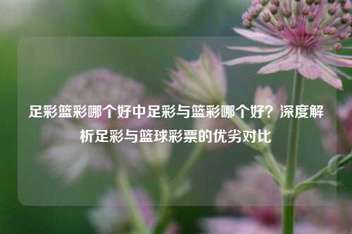 足彩篮彩哪个好中足彩与篮彩哪个好？深度解析足彩与篮球彩票的优劣对比