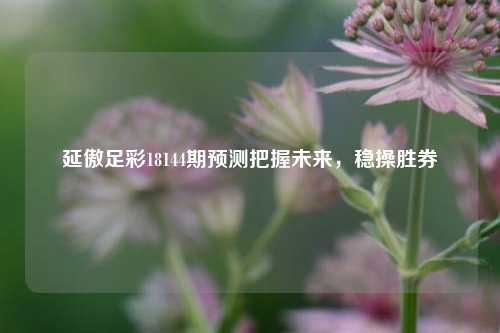 延傲足彩18144期预测把握未来，稳操胜券