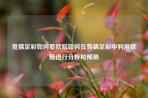 竞猜足彩如何看欧赔如何在竞猜足彩中利用欧赔进行分析和预测