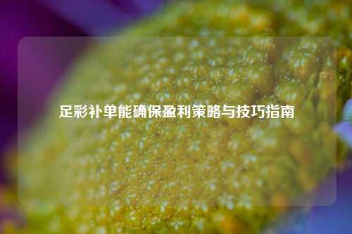 足彩补单能确保盈利策略与技巧指南
