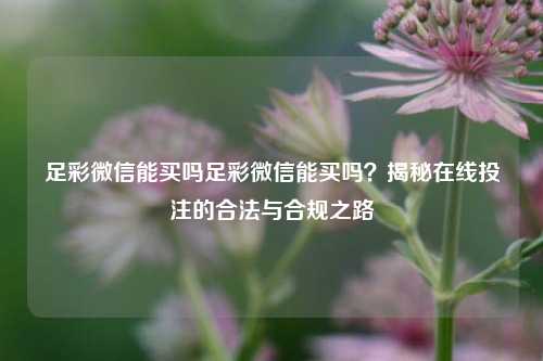 足彩微信能买吗足彩微信能买吗？揭秘在线投注的合法与合规之路