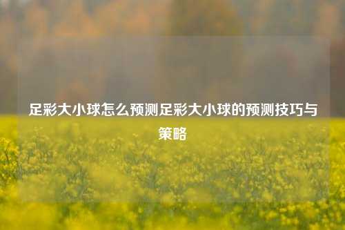 足彩大小球怎么预测足彩大小球的预测技巧与策略