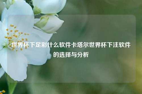 世界杯下足彩什么软件卡塔尔世界杯下注软件的选择与分析
