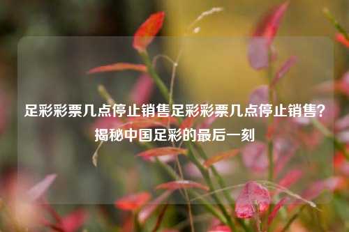 足彩彩票几点停止销售足彩彩票几点停止销售？揭秘中国足彩的最后一刻