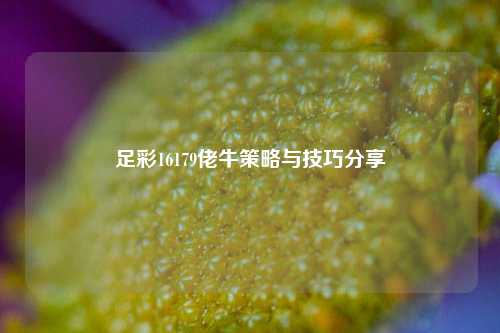 足彩16179佬牛策略与技巧分享