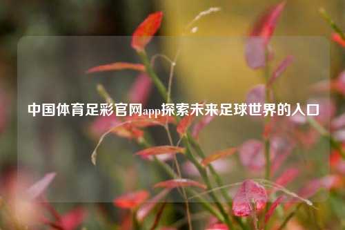 中国体育足彩官网app探索未来足球世界的入口