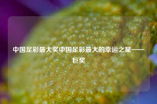 中国足彩最大奖中国足彩最大的幸运之星——巨奖