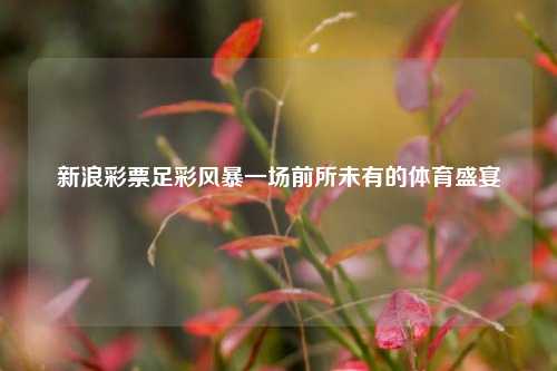 新浪彩票足彩风暴一场前所未有的体育盛宴