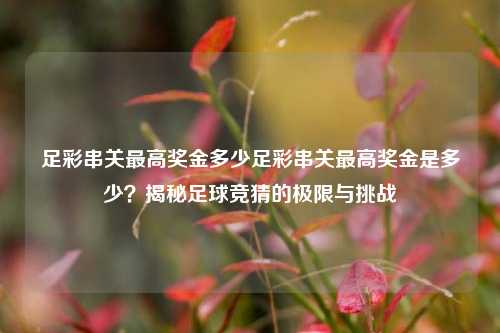 足彩串关最高奖金多少足彩串关最高奖金是多少？揭秘足球竞猜的极限与挑战