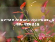 篮彩好还是足彩好篮彩与足彩的比较分析，选择哪一种更加适合你