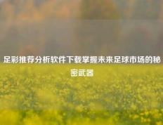 足彩推荐分析软件下载掌握未来足球市场的秘密武器