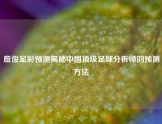 詹俊足彩预测揭秘中国顶级足球分析师的预测方法