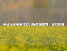 今日足彩专家推荐分析把握胜算，赢取奖金