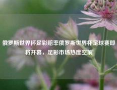 俄罗斯世界杯足彩赔率俄罗斯世界杯足球赛即将开幕，足彩市场热度空前