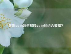 足彩6×22如何解读6×22的组合策略？