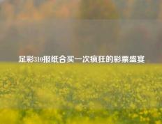 足彩310报纸合买一次疯狂的彩票盛宴