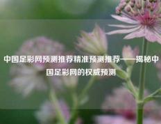 中国足彩网预测推荐精准预测推荐——揭秘中国足彩网的权威预测