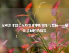 足彩滚球团长足球世界中的娱乐与竞技——足彩滚球团的风采
