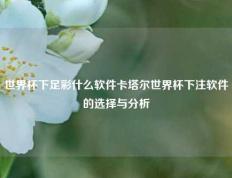 世界杯下足彩什么软件卡塔尔世界杯下注软件的选择与分析
