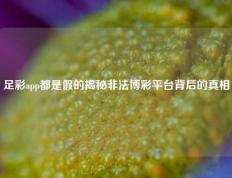 足彩app都是假的揭秘非法博彩平台背后的真相