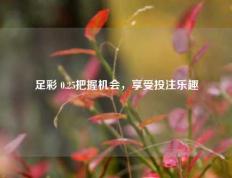 足彩 0.25把握机会，享受投注乐趣