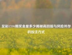 足彩17194期奖金是多少揭秘高回报与风险并存的投注方式