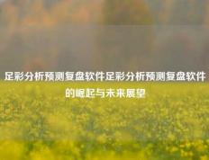 足彩分析预测复盘软件足彩分析预测复盘软件的崛起与未来展望