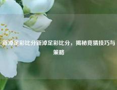 新淖足彩比分新淖足彩比分，揭秘竞猜技巧与策略