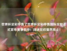 世界杯足彩停售了世界杯足彩停售国际足联正式宣布赛事暂停！球迷狂欢戛然而止！