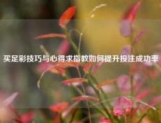 买足彩技巧与心得求指教如何提升投注成功率