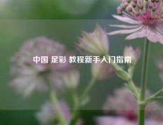 中国 足彩 教程新手入门指南