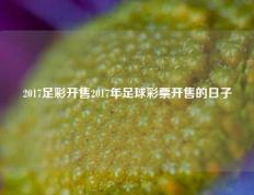 2017足彩开售2017年足球彩票开售的日子