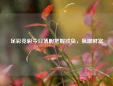 足彩竞彩今日博胆把握胜负，赢取财富