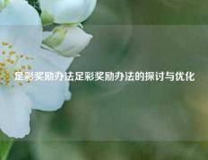 足彩奖励办法足彩奖励办法的探讨与优化
