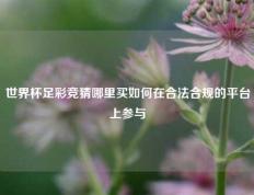 世界杯足彩竞猜哪里买如何在合法合规的平台上参与