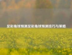 足彩角球预测足彩角球预测技巧与策略