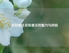 足彩重注足彩重注的魅力与风险