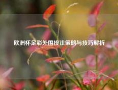 欧洲杯足彩外围投注策略与技巧解析