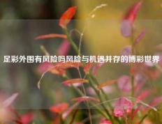 足彩外围有风险吗风险与机遇并存的博彩世界
