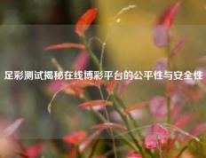 足彩测试揭秘在线博彩平台的公平性与安全性