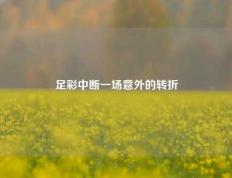 足彩中断一场意外的转折