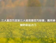 三人赢百万足彩三人组竞猜百万彩票，揭开神秘的幸运之门