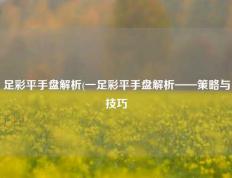 足彩平手盘解析(一足彩平手盘解析——策略与技巧