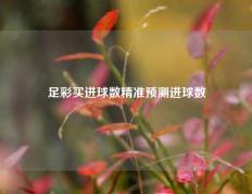 足彩买进球数精准预测进球数