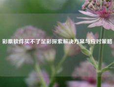 彩票软件买不了足彩探索解决方案与应对策略