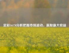 足彩16170分析把握市场波动，赢取最大收益